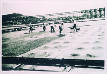 流下盤にバラスを敷く作業と枝状下の組み立て作業