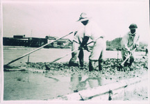 整地した流下盤に海粘土を張る作業