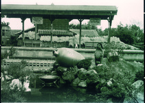 池ノ谷駅構内の狸