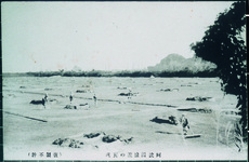 阿波国塩浜の実況