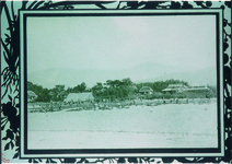 「内田商行藍農場」のはっぴを着て作業する人びと　ロング