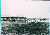 大津西小　学校田で農業実習の田植え