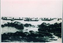 わかめ刈り漁船