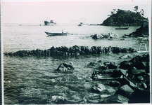 わかめ刈り漁船