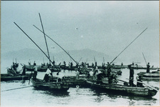 わかめの灰干し