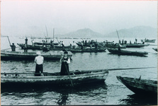 わかめの灰干し