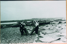 小魚を干している