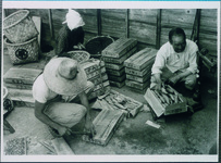 甘藷の箱詰め作業