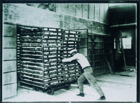 長江義氏撮影のガラス乾板