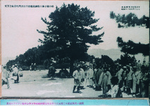 千畳敷観潮場と御手植の松