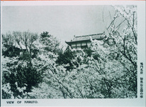 妙見山公園の桜