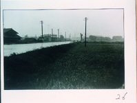 ジェーン台風　国道１１号南浜