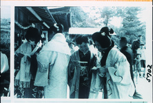 大麻比古神社初詣