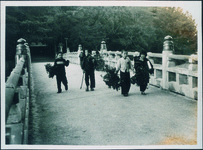 大麻比古神社の山の子