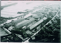 林崎小全景