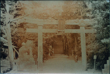 阿波井神社参道