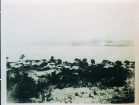 撫養港　板野郡撫養町岡崎にあり兵庫、大阪、福良、高松等の諸港に通ずる要港として常に船舶の出入り頻繁なり