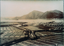 妙見山北側の弁財天の塩田