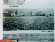 撫養中学校全景