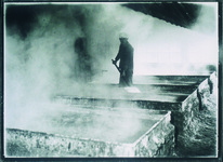 長江義氏撮影のガラス乾板