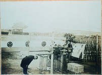 昭和天皇大嘗祭　奉納大根