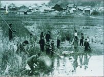 かわらとりの池　犬伏