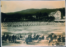 板野東小　運動会