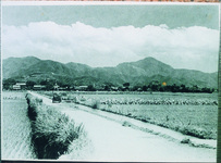 板野　田園風景
