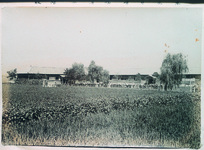 東光尋常高等小学校