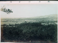 大山村全景