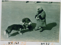 犬と子供