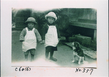 兄弟と犬
