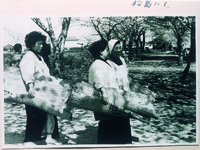 上板町松島の千本桜　桜見のおばさん