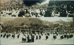 御所小学校　運動会