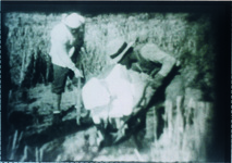 豊岡大手海岸　松の植林（Ｓ9～13高野勧・松茂尋常小学校校長撮影の映画ﾌｨﾙﾑ）