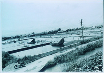 笹木野の養鰻池