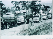 中喜来　レンコンの出荷