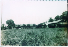 喜来小学校旧校舎