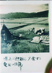 台風１２号堤防上に避難して夕食を取る亀田地区の住民
