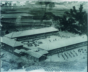 貞光小学校全景