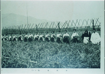 御祓穂（Ｓ8.4月～11月　三庄村八幡神社）