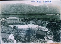 貞光小学校全景