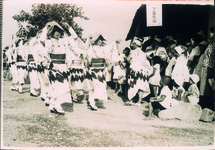 阿波踊り役場連