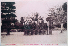 皇太子殿下御手植ﾉ松