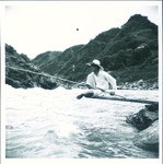 （タイトル未設定）