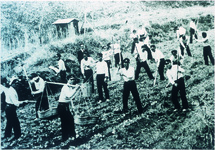 脇中　勤労奉仕