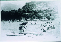 白地小　吉野川での水泳