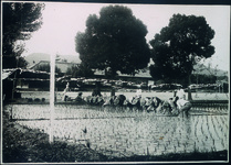 江原南農業補修学校実習地