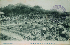 三好高女　演芸実習（県立移管・増築落成記念ｽﾀﾝﾌﾟあり）