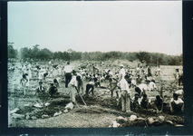 江原南小　梅園作業